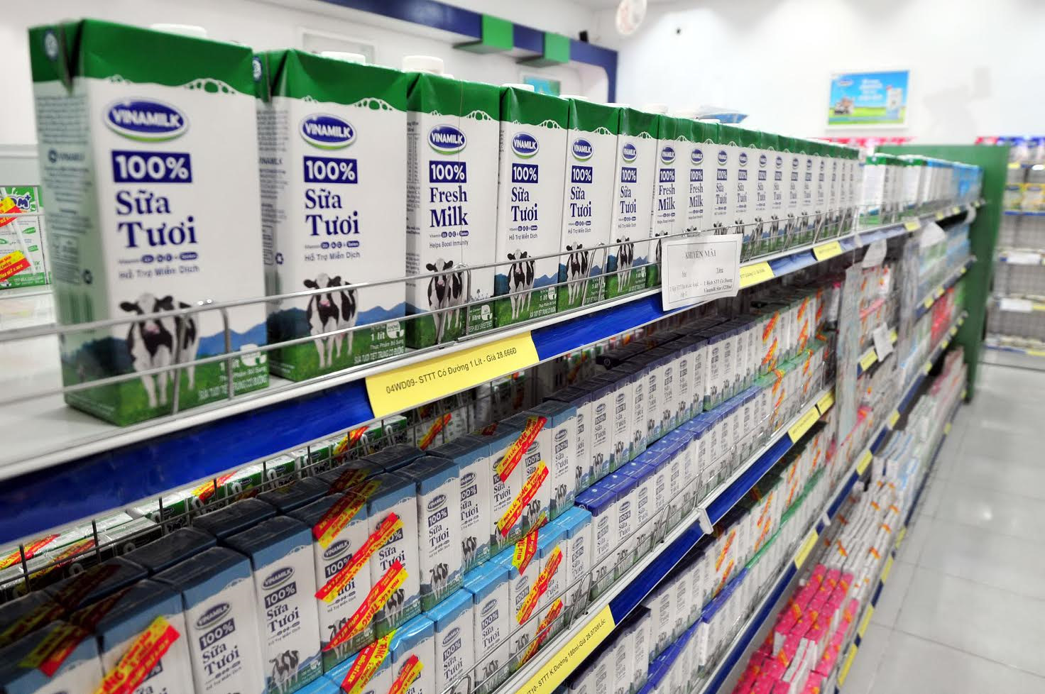 Hộp sữa bằng giấy đa dạng trên thị trường